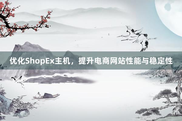 优化ShopEx主机，提升电商网站性能与稳定性